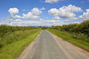 Fototapeta na wymiar rural highway in summer