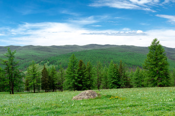 Fototapeta premium Altai Mountain in summer