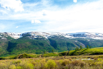 Altai Mountain in summer
