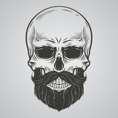 Bearded skull illustration