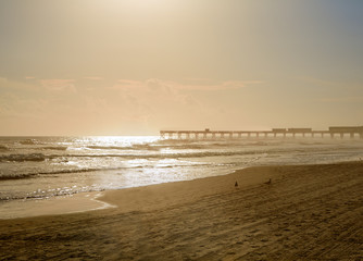 Daytona Beach in Florida with pier USA