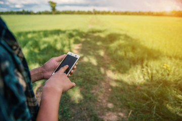 closeup of a young man using a smartphone in a natural landscape, with a meadow in the background - 114377492
