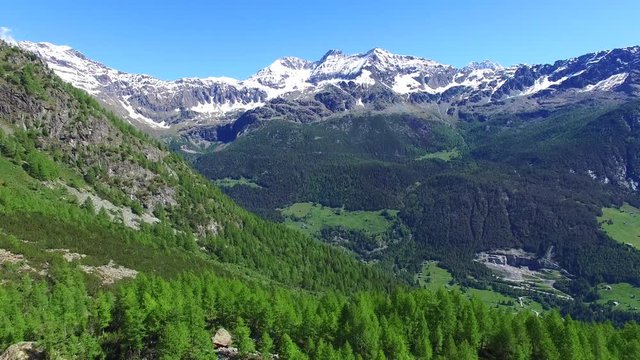 Montagne in Valmalenco - Gruppo montuoso e foreste - Valtellina (Sondrio)
