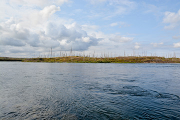 Northern Summer river landscape.