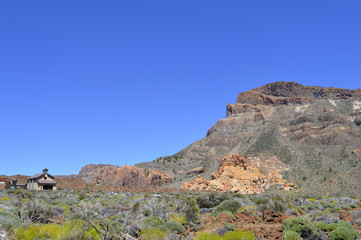 Fototapeta na wymiar Mount Teide National Park in Tenerife