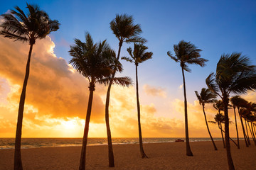 Obraz na płótnie Canvas Fort Lauderdale beach sunrise Florida US