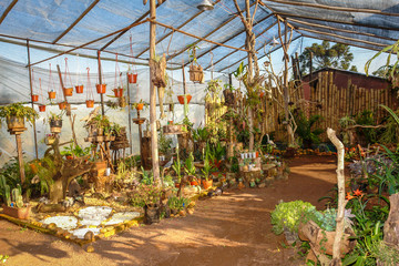 Plant nursery