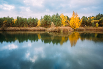 Beautiful Lake Or River And Forest. Autumn Season.