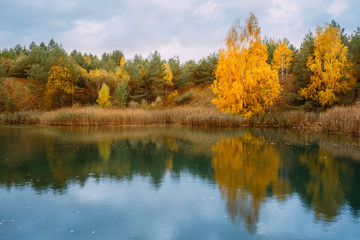Beautiful Lake Or River And Forest. Autumn Season.