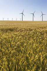 Wind turbines/Wind energy. Castilla-La Mancha, Spain, Europe.