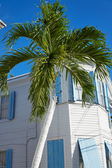 Fototapeta na wymiar Key west downtown street houses in Florida