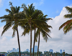 Miami downtown foggy skyline Miami Beach