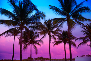 Naklejka premium Miami Beach South Beach sunset palm trees Florida