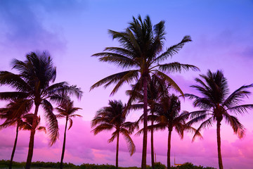 Obraz na płótnie Canvas Miami Beach South Beach sunset palm trees Florida