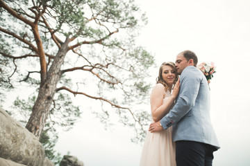 Wedding couple in love kissing and hugging near rocks on beautiful landscape