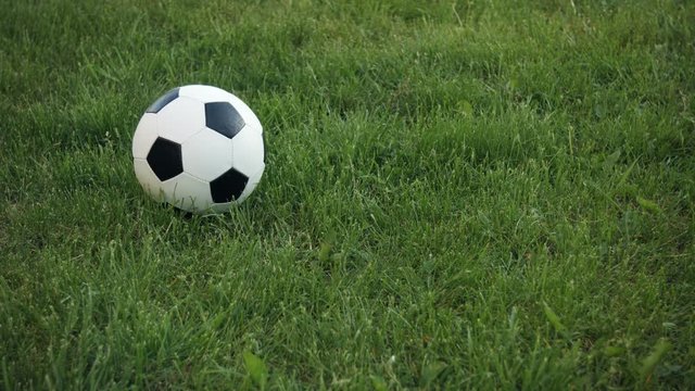 Video 3840x2160 - Closeup shot of a football, with its traditional black and white geometric pattern, dropping and bouncing into frame and coming to rest on a grassy field.