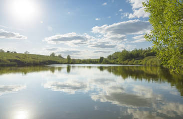 Sunny summer landscape