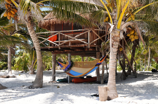 Beach hut with hammock on the white beach with palm trees
