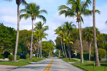 Fototapeta premium Naples beach streets with palm trees Florida US
