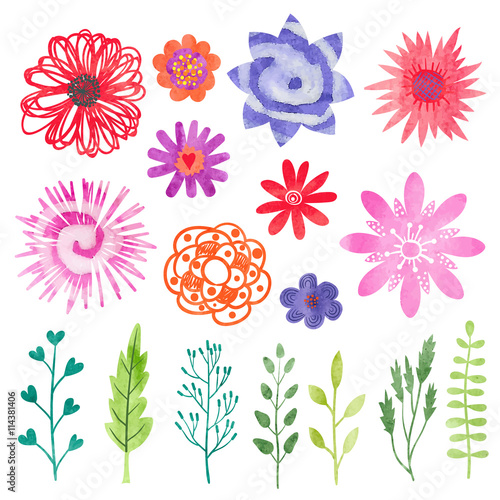 Watercolor Flowers Set Colorful Flowers Leaves And