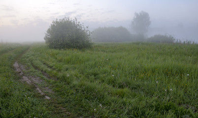Obraz na płótnie Canvas Misty summer morning