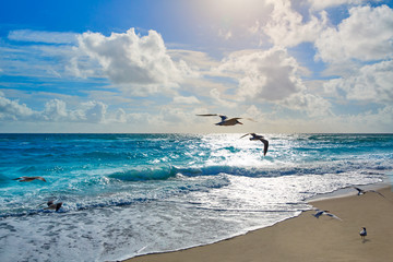 Singer Island beach at Palm Beach Florida US © lunamarina