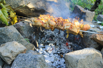 Shish kebab on bonfire