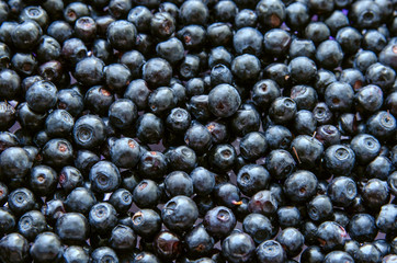 Ripe blueberries