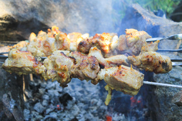 Shish kebab on bonfire
