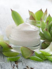 cosmetics with houseleek, healing plant