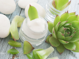 cosmetics with houseleek, healing plant