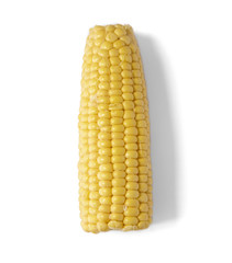 Food and vegetables - an ere of corn on the cob / maize isolated on a white background