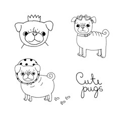 Cute Pugs. Dogs.