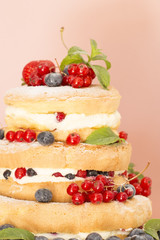 Fruit naked cake