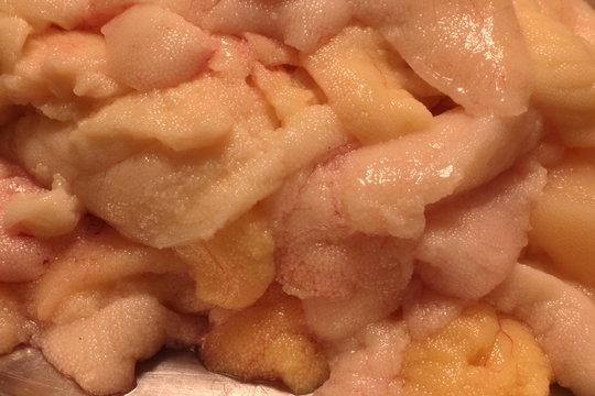 bunch raw of gutted fish eggs macro shot
