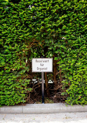 Parkplatzschild für Organist