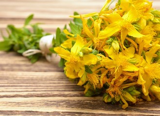 Hypericum flowers, Hypericum perforatum or St John's wort