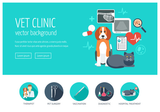 Vet clinic web design concept for website and landing page. Web banner. Flat design. Vector