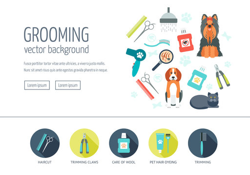 Grooming web design concept for website and landing page. Web banner. Flat design. Vector