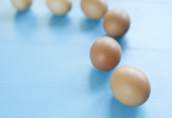 several eggs isolated