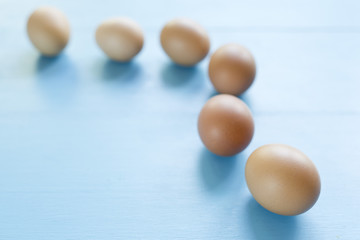 several eggs isolated