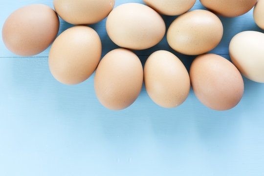 several eggs isolated