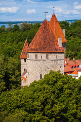 tower of old town, Tallin, Estonia