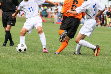 Fototapeta premium サッカー フットボール