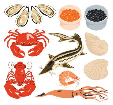 set of various marine animals and fish for seafood