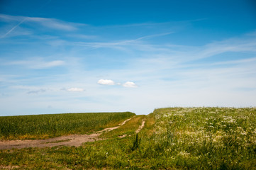 Obraz premium Country road through the fields