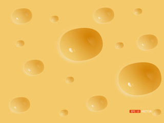 cheese backgrounds pattern, vector eps 10