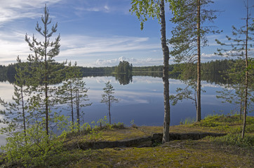 On the shore of the forest lake.
