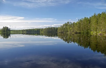 Foto op Canvas Forest lake in the evening. © Sergey Rybin