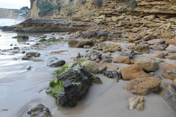 Fototapeta na wymiar stones in beach